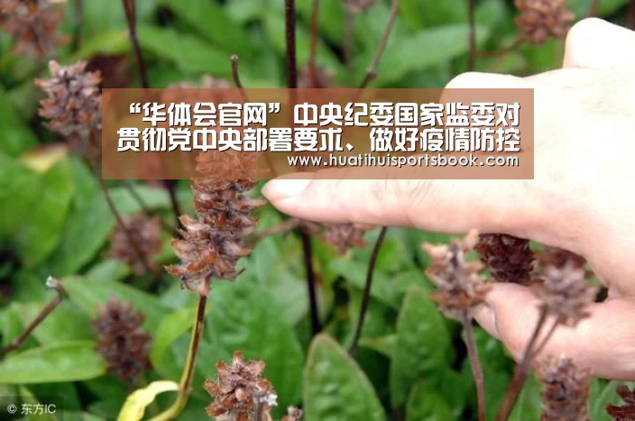 “华体会官网”中央纪委国家监委对贯彻党中央部署要求、做好疫情防控监督工作发出通知(图1) 华体会官网