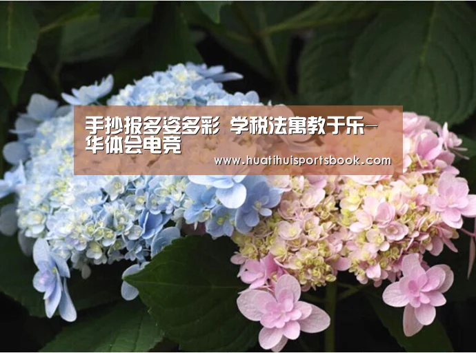 华体会体育