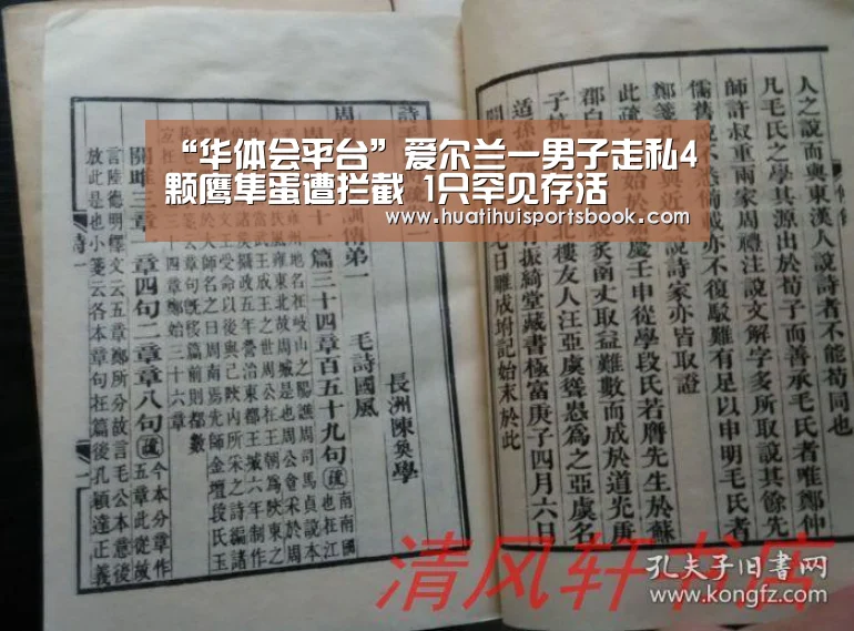 “华体会平台”爱尔兰一男子走私4颗鹰隼蛋遭拦截 1只罕见存活(图1) 华体会官网