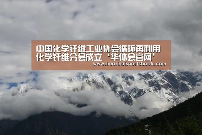 中国化学纤维工业协会循环再利用化学纤维分会成立‘华体会官网’(图3) 华体会平台