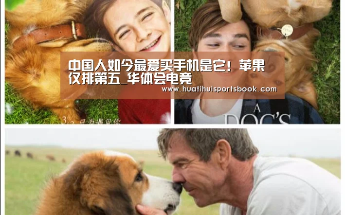 中国人如今最爱买手机是它!苹果仅排第五_华体会电竞(图1) 华体会官网