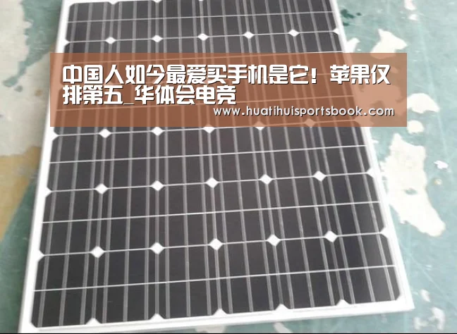 中国人如今最爱买手机是它!苹果仅排第五_华体会电竞(图3) 华体会官网