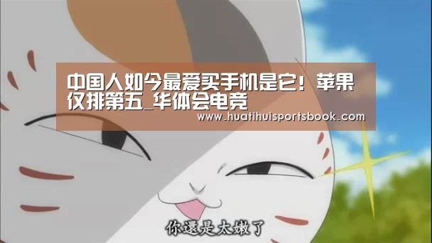 中国人如今最爱买手机是它!苹果仅排第五_华体会电竞(图4) 华体会电竞