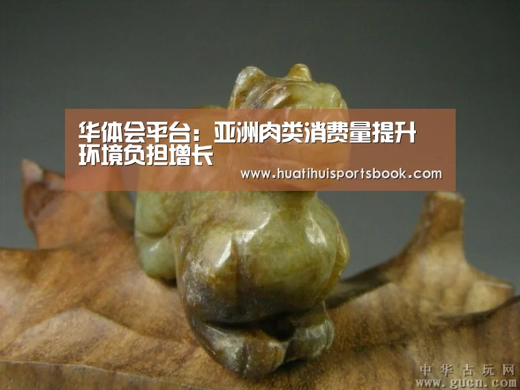 华体会平台:亚洲肉类消费量提升 环境负担增长(图4) 华体会电竞