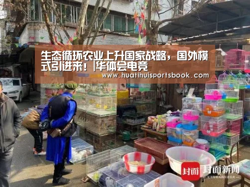 生态循环农业上升国家战略,国外模式引进来!|华体会电竞(图1) 华体会官网